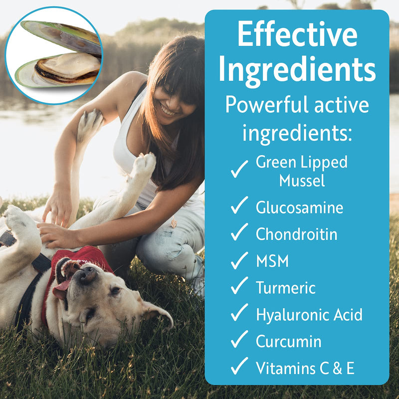 Advanced Hip and Joint Support Glucosamine for Dogs - Powerful Chondroitin, MSM, Curcumin & Green Lipped Mussel Dog Joint Supplement - with Vitamins E & C, 120 Tablets, made in UK (120 tablets) - PawsPlanet Australia