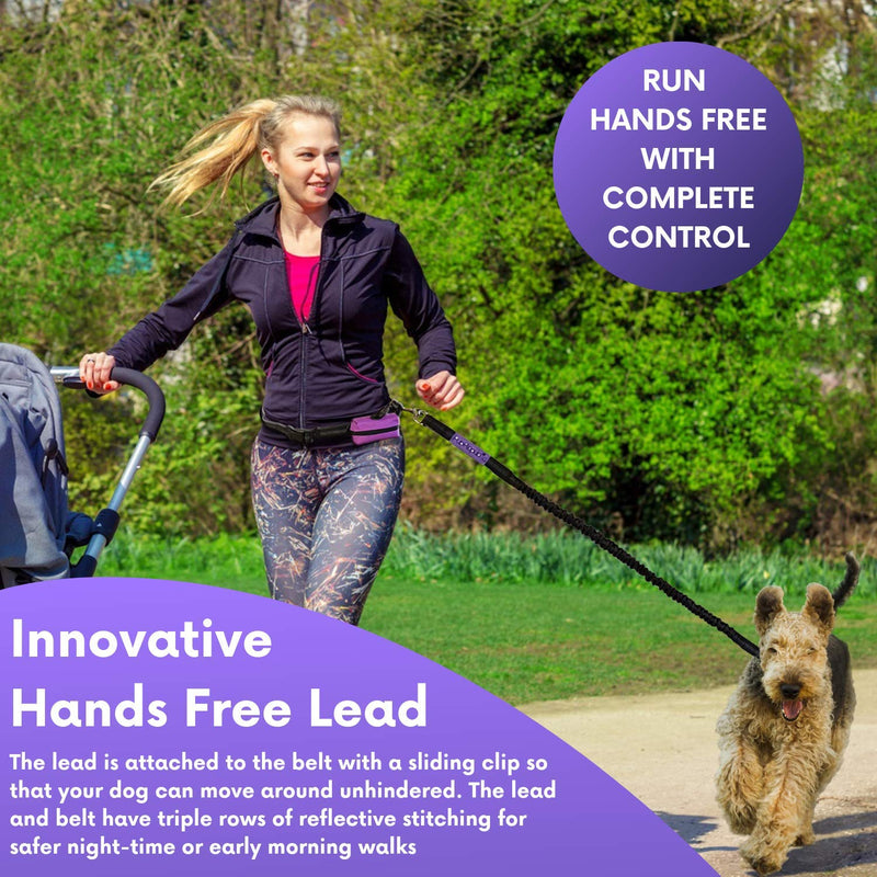 PupRepublic Hands Free Dog Lead - Perfect Dog Running Lead Or When Walking Or Hiking - Fully Adjustable Waist Belt With Reflective Bungee Dog Leads - Free Poo Bag Pouch Included Purple - PawsPlanet Australia