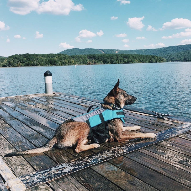 Vivaglory Dog Life Jackets with Extra Padding Pet Safety Vest for Dogs Lifesaver Preserver M:21-25 inch (Ribcage Girth) Blue - PawsPlanet Australia