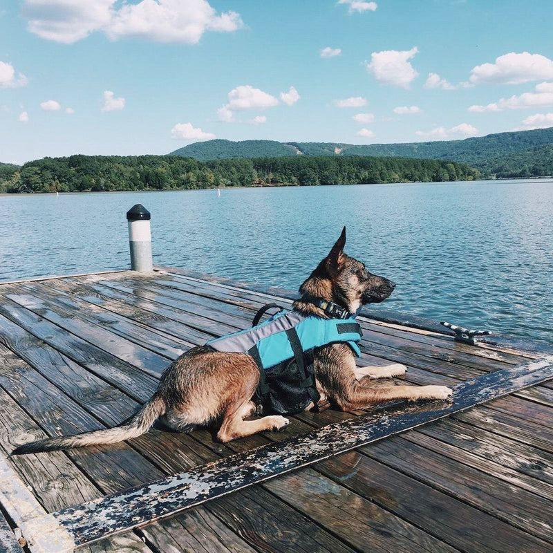 Vivaglory Dog Life Jacket Adjustable Buckle Dog Safety Vest Pet Lifesaver Coat, Extra Small, Blue XS: 35-43cm (Ribcage Girth) - PawsPlanet Australia