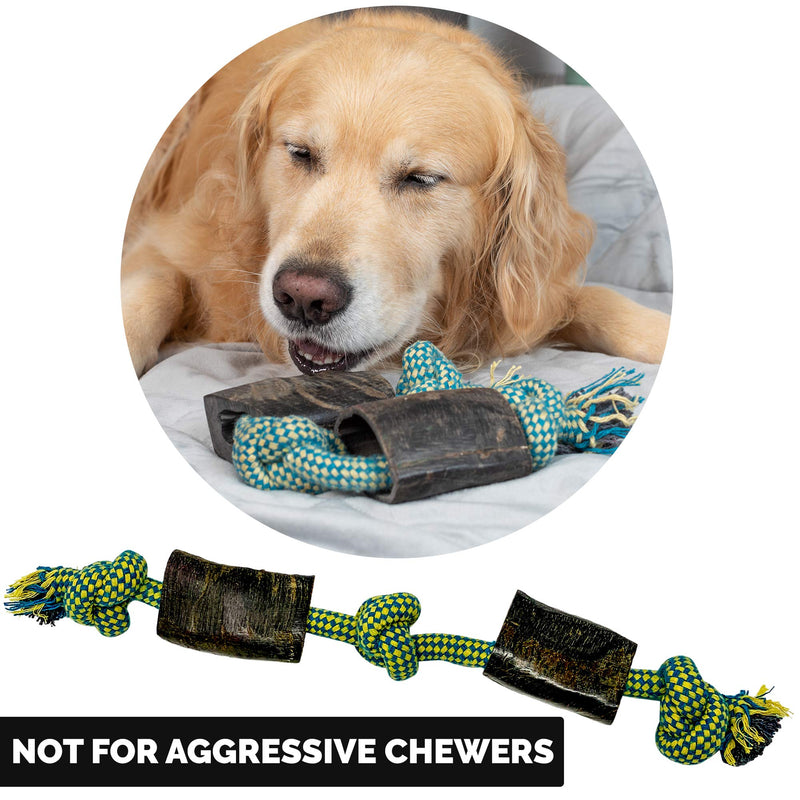 Choy All Natural Rope and Water Buffalo Bone Dog Chew and Dog Toys (Eco-Friendly Interactive Dog Toys, Dog Chew Toy, Dog Bone, Dog Rope Toy, and Dog Tug Toy in One) Three Style Options Available Full Unit Large Rope - PawsPlanet Australia