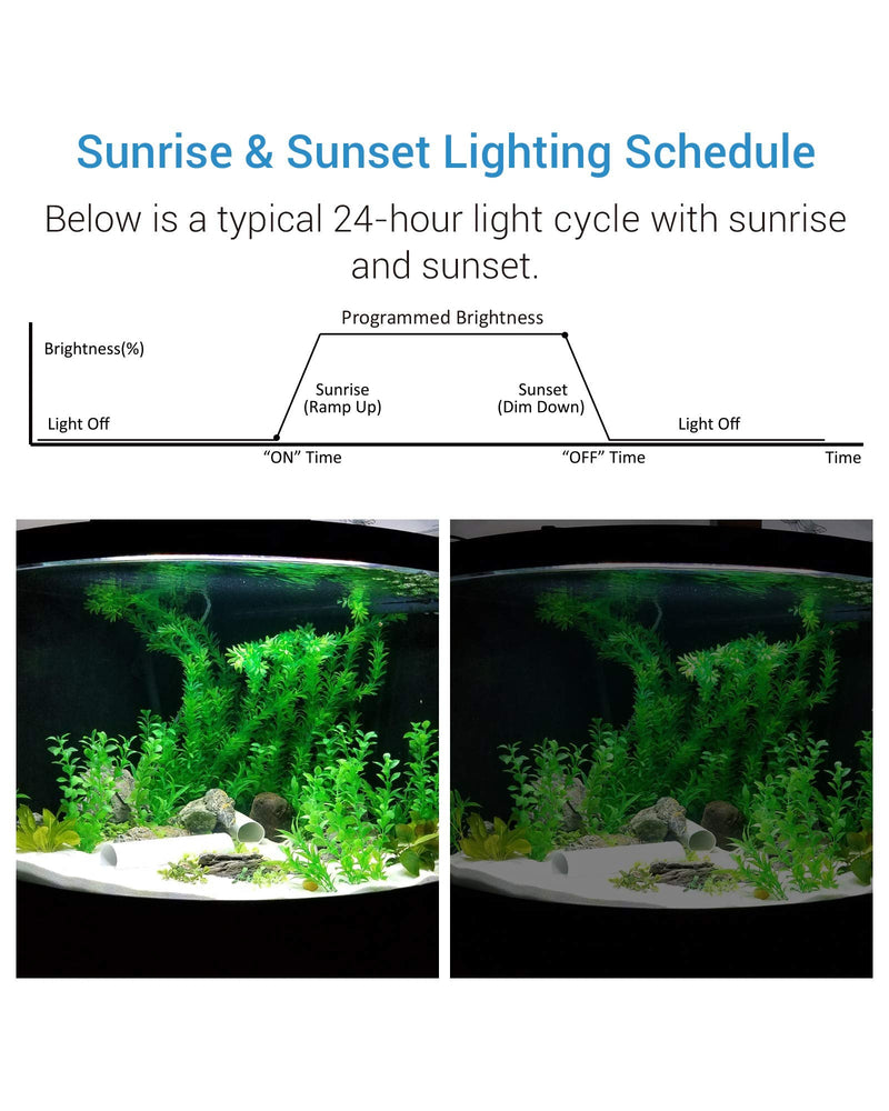 NICREW Aquarium Light Timer, Fish Tank Light Controller and Dimmer Single Channel Timer - PawsPlanet Australia
