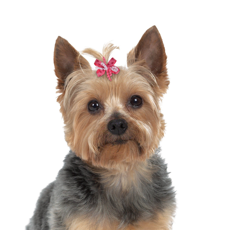 [Australia] - Aria Mia Ribbon Barrettes for Dogs, 48-Piece Canisters 