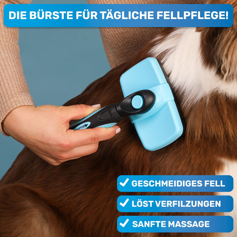 BluePet Dog Brush & Cat Brush for Long Hair - Gently Removes Undercoat, Tangles & Knots - Plucking Tool Version 2023 with Cleaning Button - For Daily Use (Blue) Blue - PawsPlanet Australia