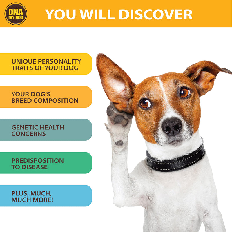 DNA My Dog Canine Breed Identification Test - PawsPlanet Australia