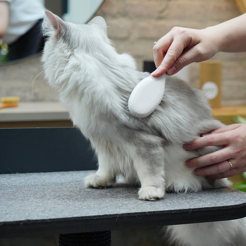 LucyBalu® cat brush short hair & long hair | Fur brush for cats | Undercoat brush cat | Cat comb for grooming cats | Animal hair brush | Cat hair brush with metal bristles & white metal wooden handle - PawsPlanet Australia