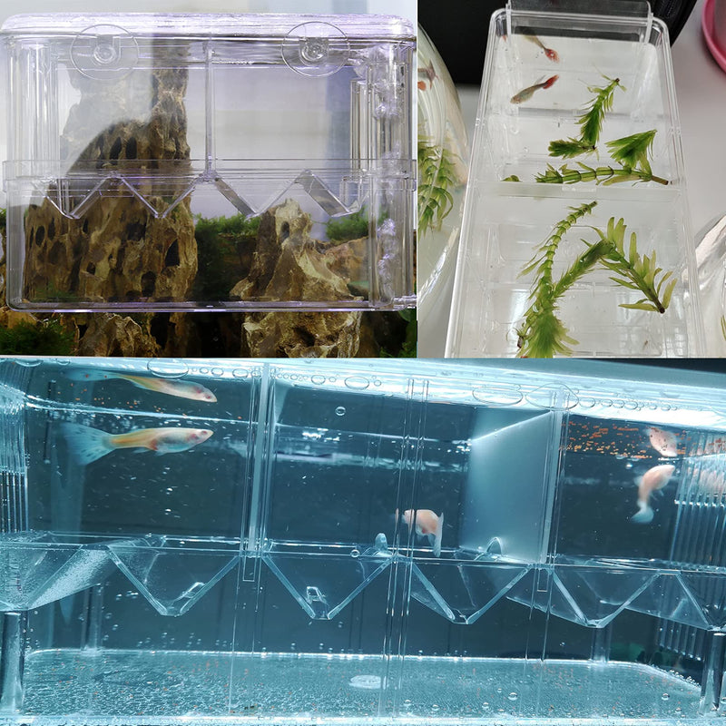 Hamiledyi Fish Breeding Box Aquarium Tank Incubator Acrylic Transparent Breeder Box Baby Fish Hatchery Artificial Plant Decorate for Shrimp Clownfish Guppy Molly Small Fishes (3Pcs) - PawsPlanet Australia