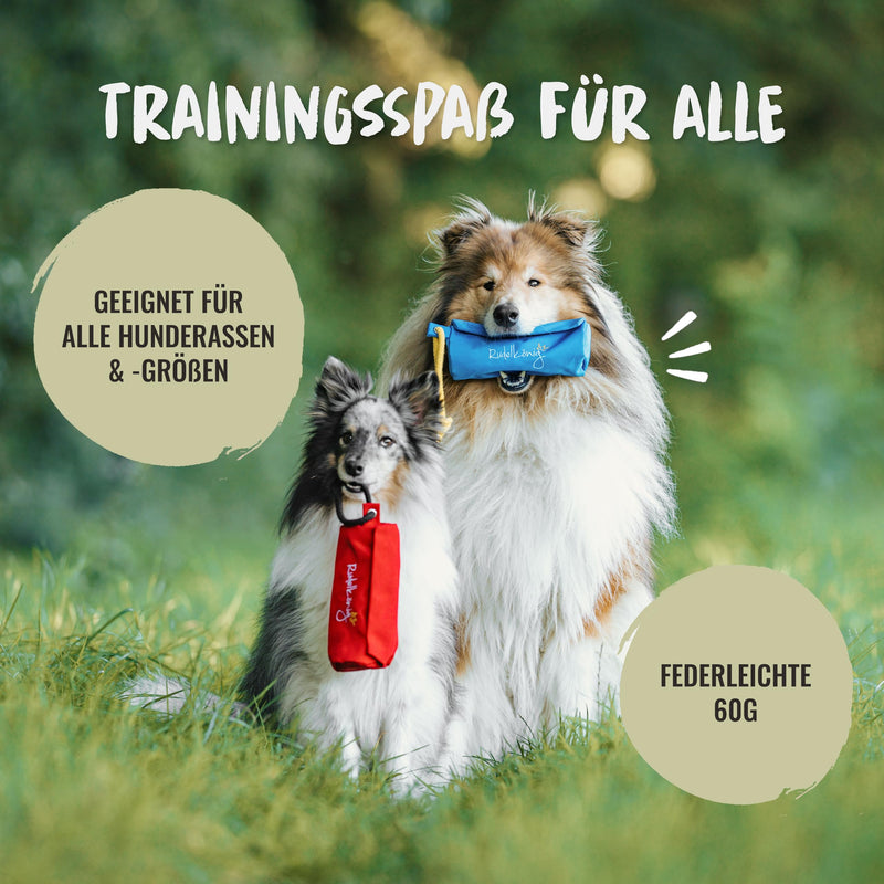 Rudelkönig food bag for dogs - retrieving bag for dog training - robust food dummy for treats blue - PawsPlanet Australia