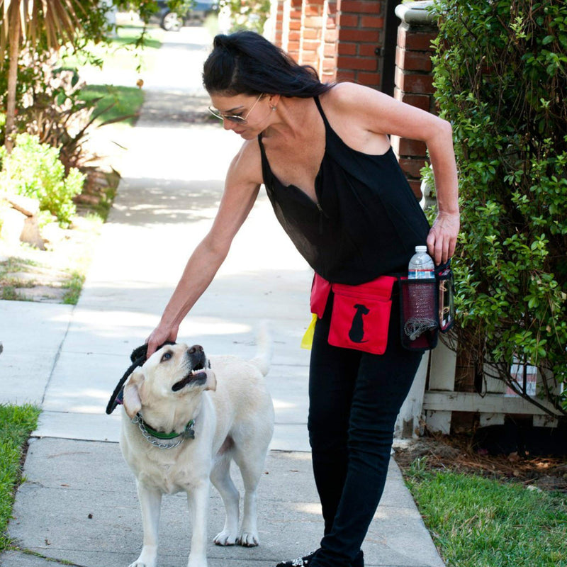 [Australia] - FreshStart DogiPack Hands-Free Dog Walking Belt Fanny Pack with Treat Pouch Phone Carrier Water Bottle Holder Collapsible Bowl Poop Bags ID Pocket for Men & Women Dog Walkers Grey 