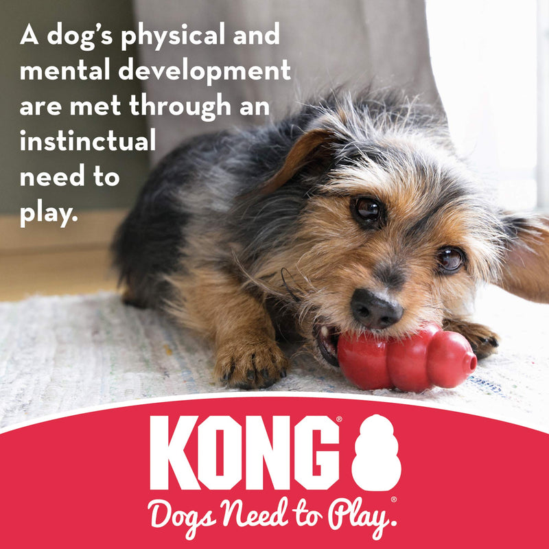 KONG - Stuff-A-Ball - Durable Rubber, Treat Dispensing and Teeth Cleaning Dog Toy Small Standard Packaging - PawsPlanet Australia