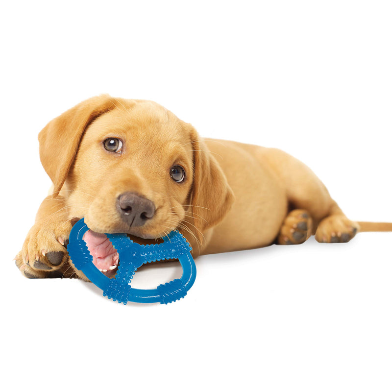 [Australia] - Nylabone Puppy Chew Ring Dog Toy Peanut Butter, Blue 