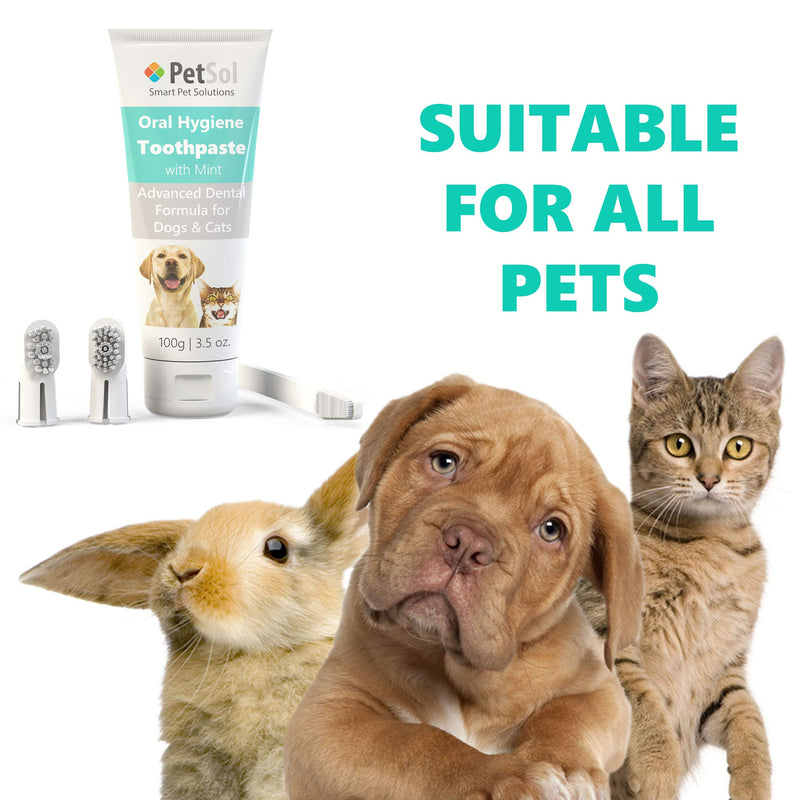 PetSol Dental Care Kit for Dogs & Cats Toothpaste (100g) with 3 x Pet Toothbrushes to Clean Pet's Teeth, Remove Plaque and Tartar, Improve Gum, Tooth Health & Pet Oral Hygiene - PawsPlanet Australia