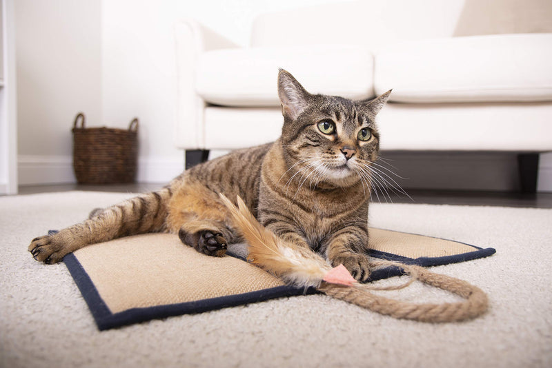 [Australia] - SmartyKat Clever Claws Hanging Or Mat Cat Scratcher, Brown and Grey,Large 