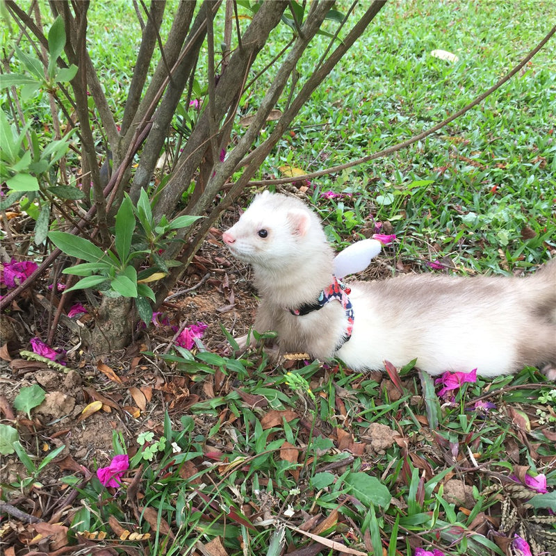 Ferret Harness and Leash Adjustable, Blue Sakura Cotton Cloth Ferret Walking Vest, Soft and Breathable Ferret Lead Leash with Angel Wings and Safe Bell - PawsPlanet Australia