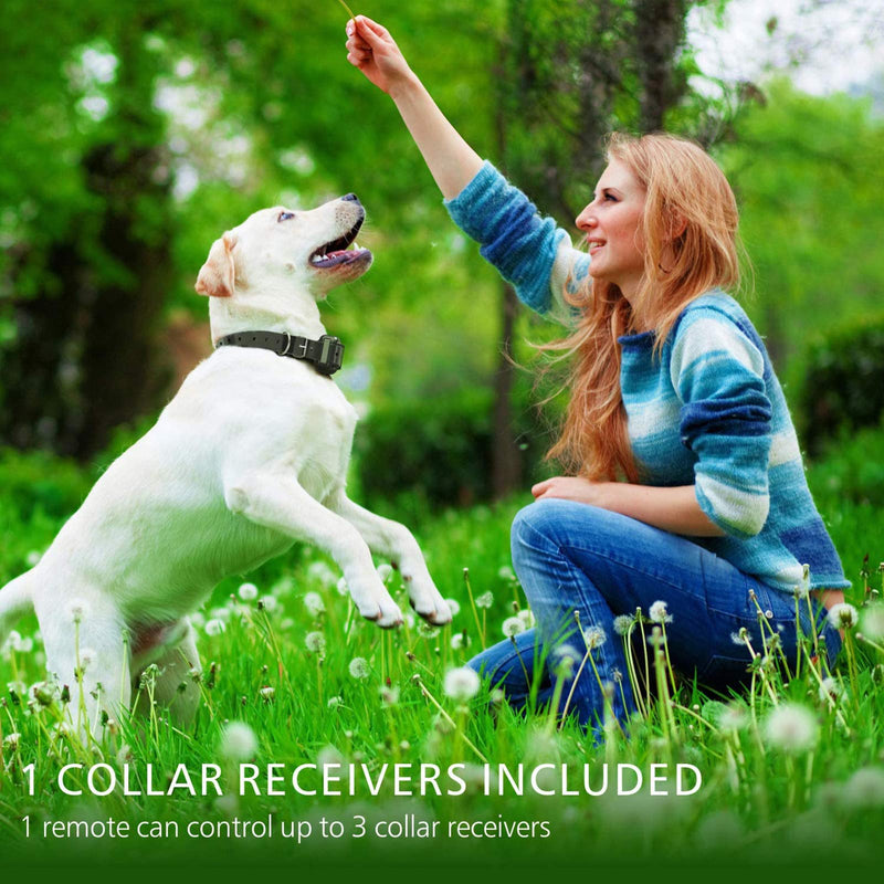 F-color Dog Training Collar, Rechargeable Waterproof Dog Shock Collar for Dogs with Remote 2600ft,with Beep Vibrating Shock LED Light 4 Modes for Small Medium Large Dogs, Black - PawsPlanet Australia