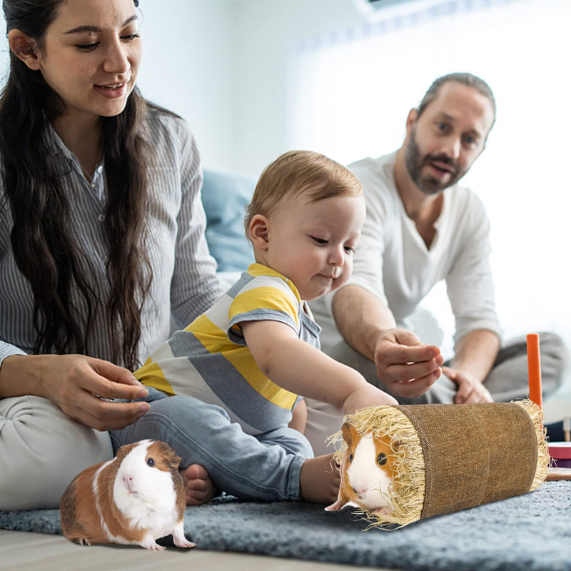 Guinea Pig Grass Tunnel Toy Nature Hideaway Tunnels and Tubes Toys for Small Rabbits Rats Syrian Hamster Ferrets Guinea Pig Chinchilla Hedgehog M - PawsPlanet Australia