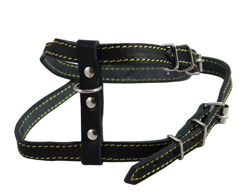 [Australia] - Dogs My Love Real Leather Feline Harness, 16"-18.5" Chest, 1/2" Wide, Medium to Large Cats 