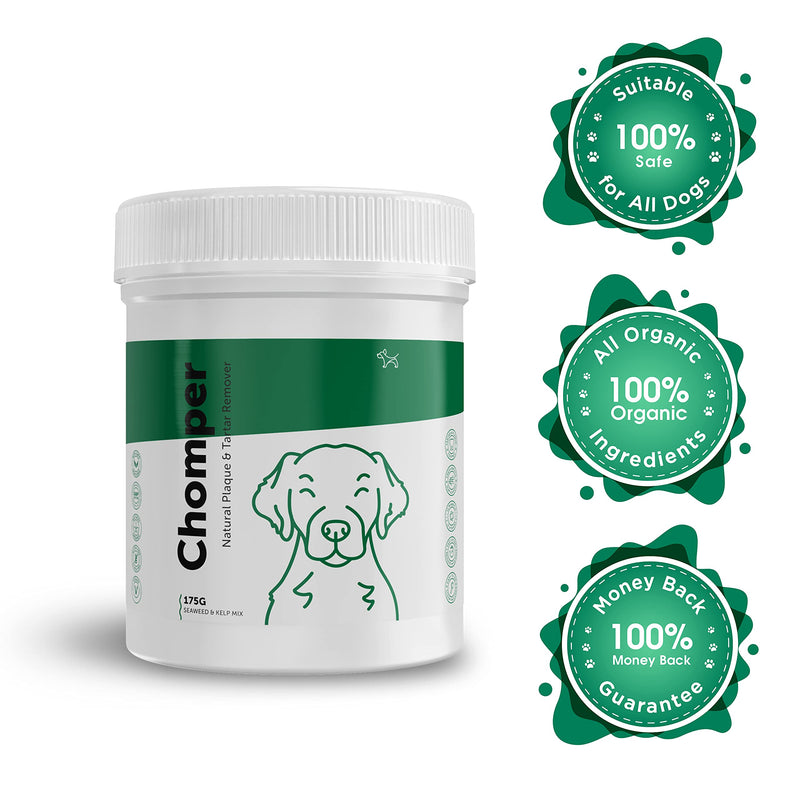 Chomper Tartar & Plaque Removal for Dogs | 100% Natural & Organic Seaweed & Kelp Blend | Dental Supplement for Bad Breath | 175g - PawsPlanet Australia