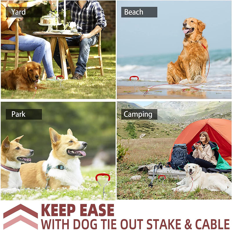 Snagle Paw Dog Tie Out Cable and Stake,Sturdy Dog Stake for Yard and 3m Dog Leash for Camping or Backyard,Great for Medium Large Dogs 3 M red - PawsPlanet Australia