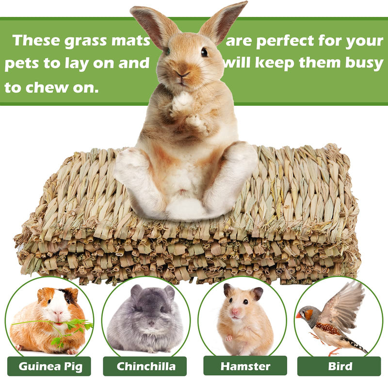 4Pack Grass Mat for Rabbits Bunny Straw Woven Bed Bedding Nest Chew Toy for Guinea Pigs Hamsters Rats Birds and Other Small Animals 11.8 × 9 inches - PawsPlanet Australia