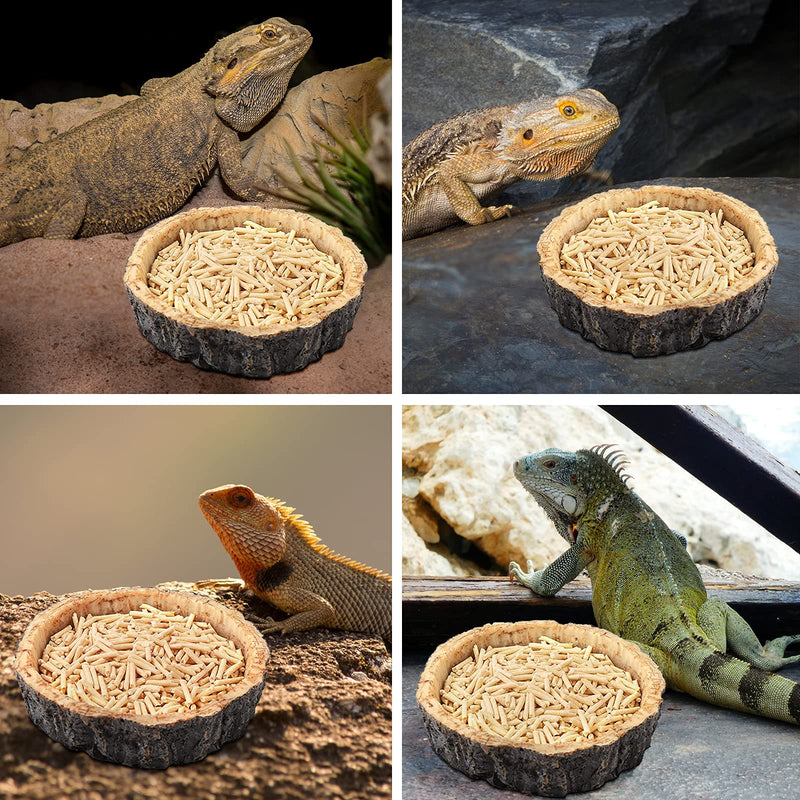 Shyfish Reptile Food and Water Bowls,Bearded Dragons Accessories,Food Bowls for Lizards,Small Snakes,Resin Material Reptile Decor S - PawsPlanet Australia
