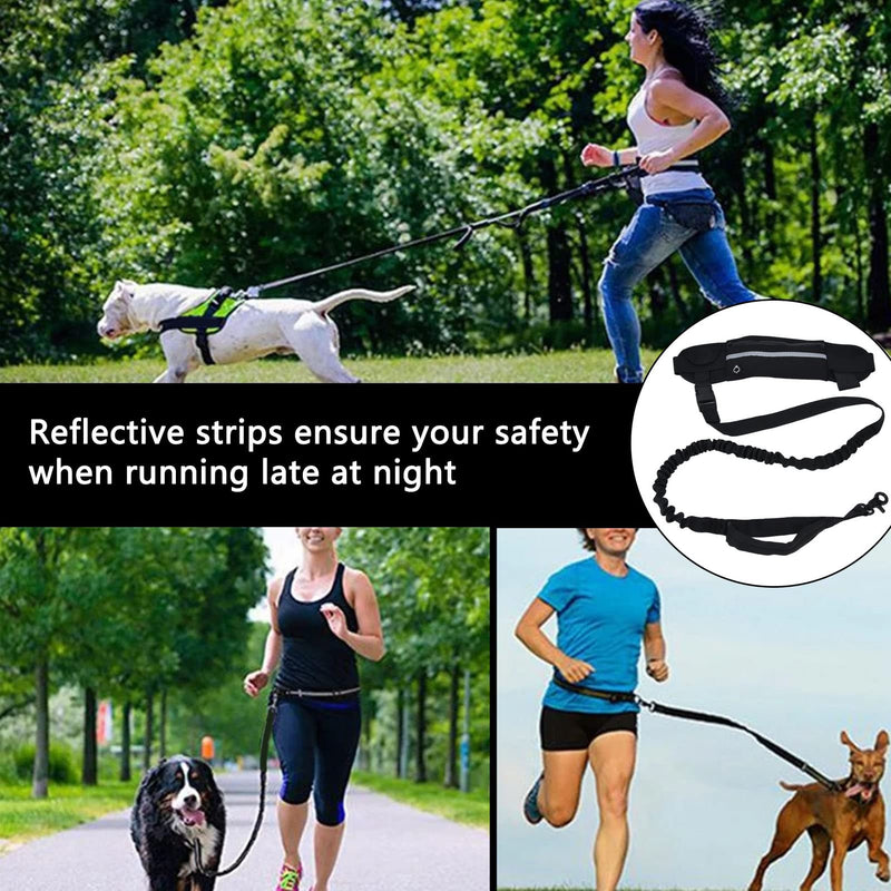 Jogging Leash for Dogs for Running Hands-Free Dog Leash with Zipper Pocket Durable Bungee with Reflective Strips Adjustable Waist Belt for Walking(Black) Black - PawsPlanet Australia