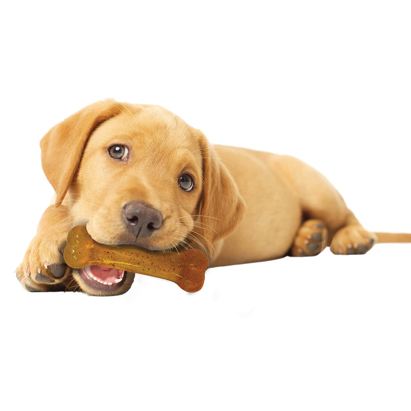 [Australia] - Nylabone Puppy Chew Dog Teething Bones Small/Regular - Up to 25 lbs. Chicken Flavor 