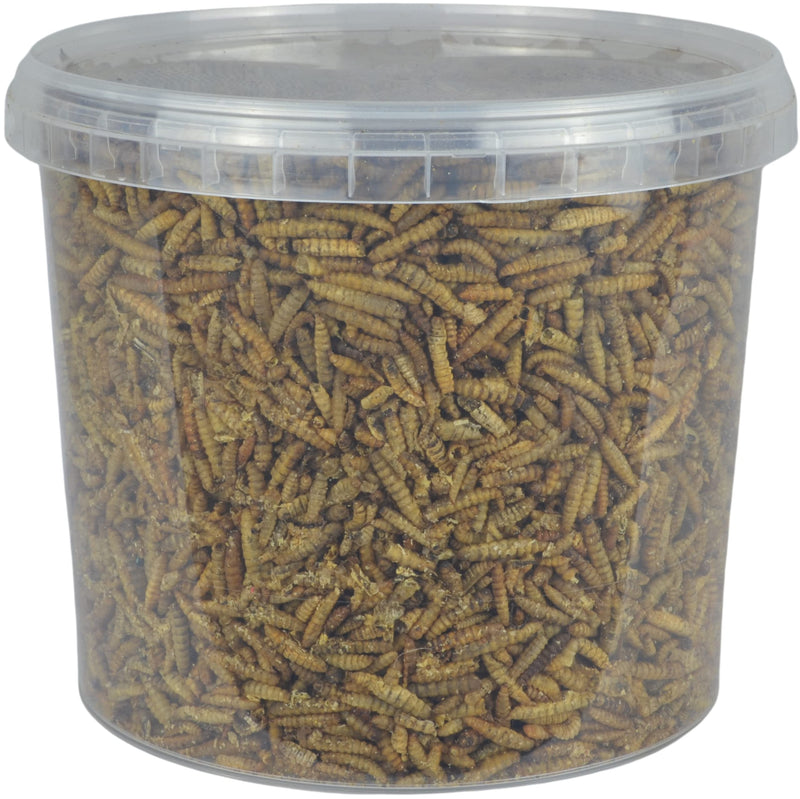 Supa Dried Calci Worms for Wild Birds, 3 Litre Bucket, High Energy Protein Rich Treat For Garden Birds, Attract More Birds To Your Garden, Quality Wild Bird Food. - PawsPlanet Australia