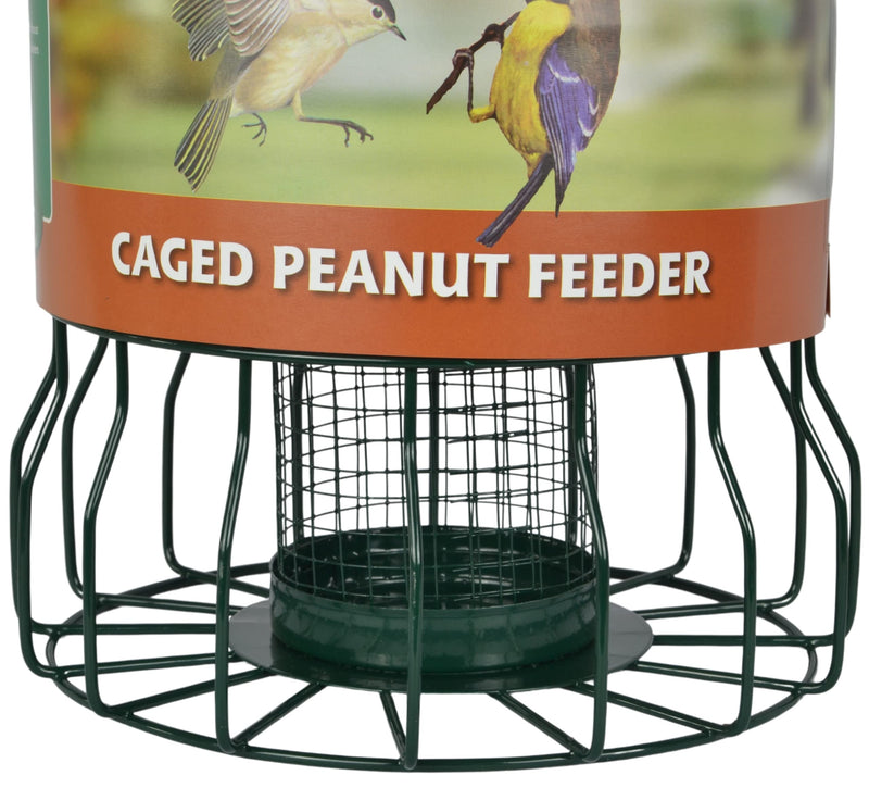 Supa Wild Bird Caged Peanut Feeder, Deters Squirrels And Larger Birds Such As Doves & Pigeons. - PawsPlanet Australia