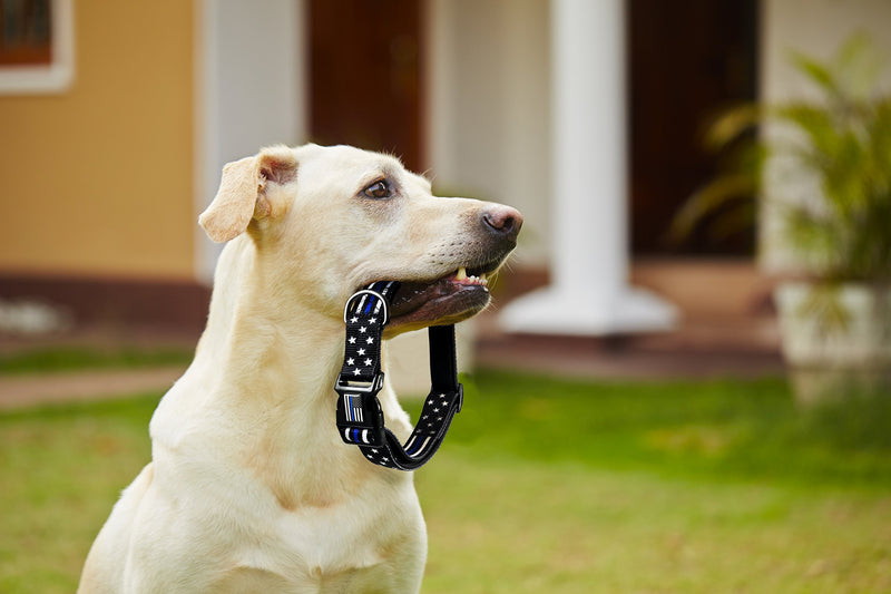 [Australia] - Dog Collar - Thin Blue Line (2 Styles Available) Small Stars & Stripes 