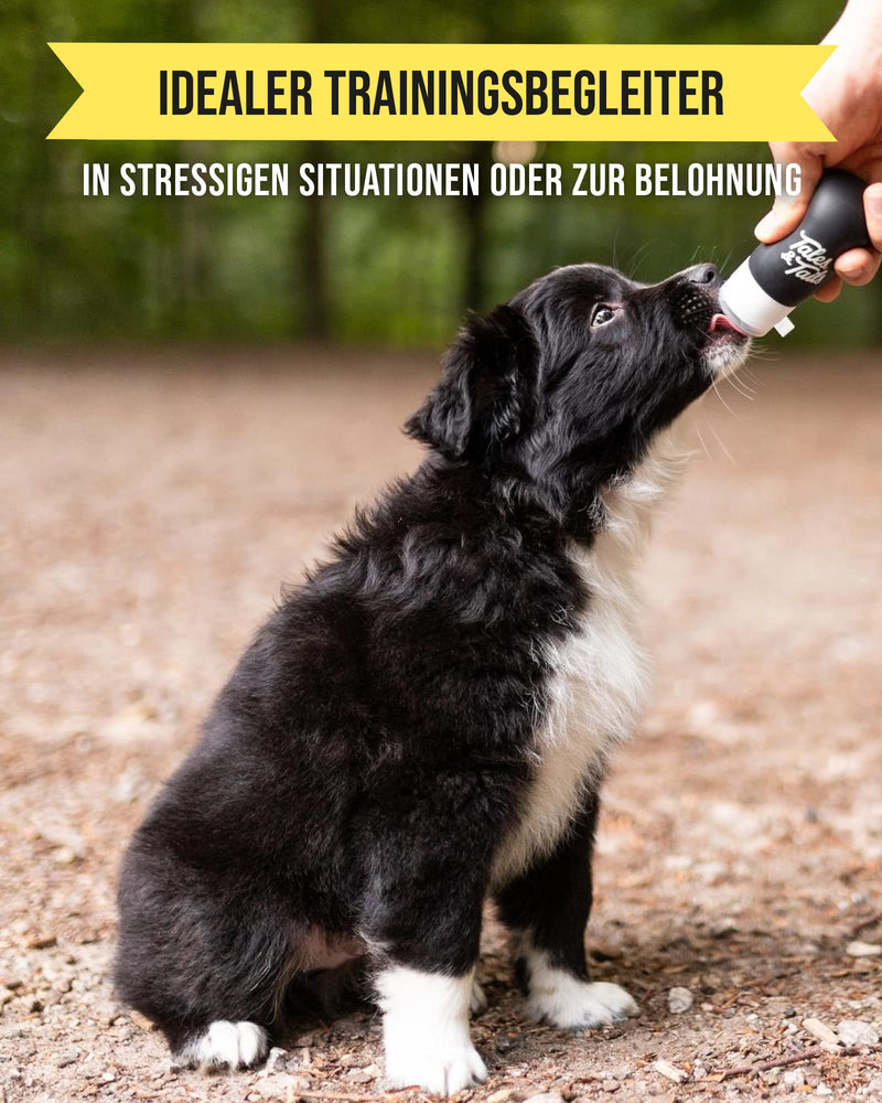 Tales & Tails® - Food tube for dogs I Training and rewarding on the go I Recall training I Dog encounters I fits in every jacket pocket (pack of 1) 80 ml (pack of 1) - PawsPlanet Australia
