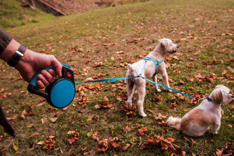 WIGZI 2 Dog Retractable Leash, Easy Lock/Unlock Button, Untangle Automatically - 18 ft Total Distance with Coupler at end of Leash- 110lbs Total Weight of Both Dogs - PawsPlanet Australia