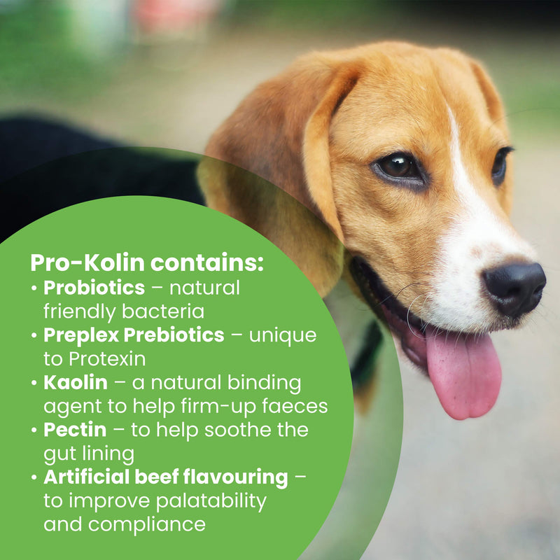 Pro-Kolin for Dogs and Cats Probiotic Paste and Syringe, 60ml & Pro-Balance Probiotic for Dogs and Cats – Daily Chewable Probiotic and Prebiotic Tablet for Digestive Health Support – Pack of 30 - PawsPlanet Australia