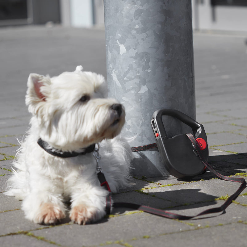 Dogxi dog leash roll leash 5m 25kg handle foldable strap tongue attach in the car small medium dogs black with carabiner leash 11mm wide extendable adjustable retractable - PawsPlanet Australia