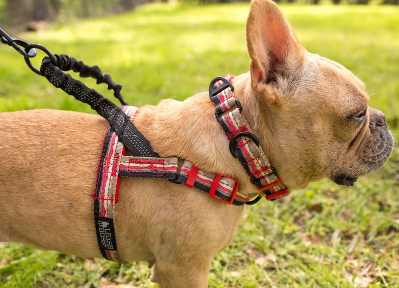 Leashboss Pattern Reflective No Pull Dog Harness with Bungee Handle, Rear and Front Clip Attachment, Pattern Collection Small Beige/Red - Mountain - PawsPlanet Australia