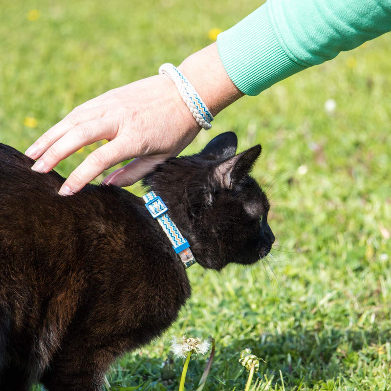 [Australia] - Pettsie Cat Kitten Collar Breakaway Safety and Friendship Bracelet for You, Durable 100% Cotton for Extra Safety, Easy Adjustable, D-Ring for Accessories, Gift Box Included 5"-8" Neck Blue 