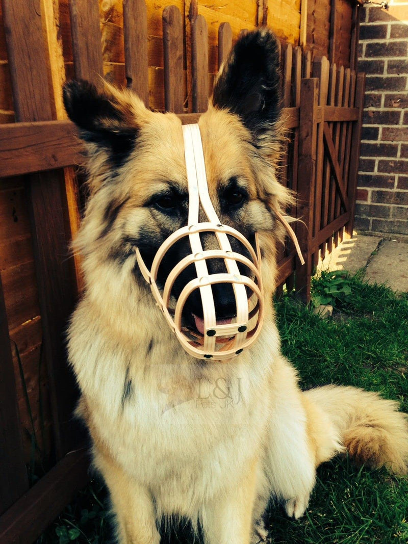 L&J Pets Uk New Genuine Light leather Dog Muzzle German Shepherd and Other Similar Snout (Black Leather, W1) (W1-3) Black Leather - PawsPlanet Australia