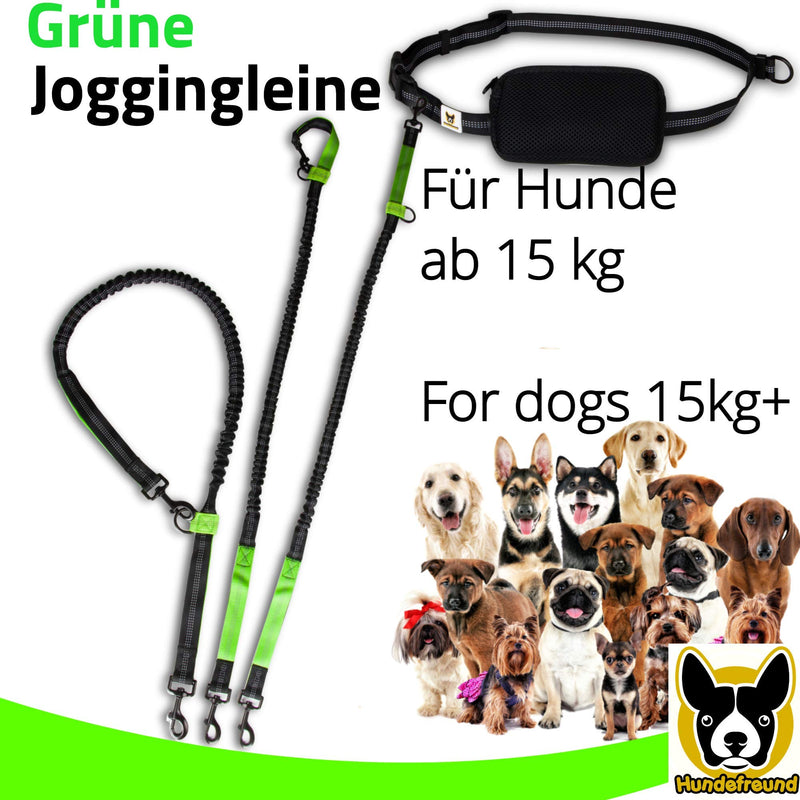 Jogging leash - Elastic and reflective 120 cm dog leash (stretchable up to 200 cm) with adjustable hip belt with hip bag - Ideal for hands-free jogging, walking and hiking - PawsPlanet Australia