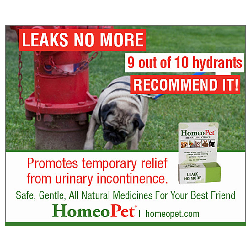 HomeoPet LEAKS NO MORE - 100% Natural Pet Medicine. Urinary incontinence or leaking due to old age, spaying or neutering. Pets of all ages. 15ml/up to 90 doses per bottle - PawsPlanet Australia