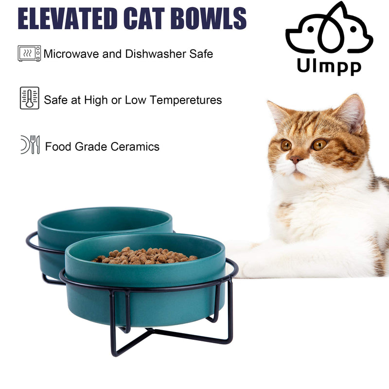 Cat Food Bowls,Elevated Cat Bowls,Raised Pet Food Water Bowls with Stand,Ceramic Pet Bowls for Cat or Dogs,12 Ounces Cat Dishes Green - PawsPlanet Australia