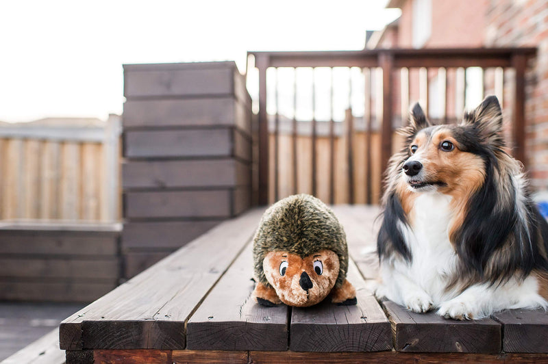[Australia] - Outward Hound Hedgehogz Squeaky Dog Toy – Cuddly Soft Toy for Dogs - Durable Plush Fluffy Toy for Awesome Pets Large 