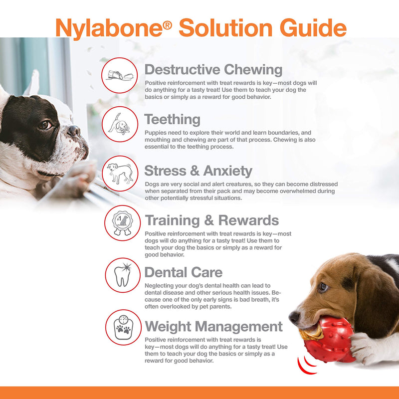 Nylabone Power Chew Dog Bones for Aggressive Chewers Tough Chew Toys for Dogs Bacon Small/Regular (1 Count) - PawsPlanet Australia