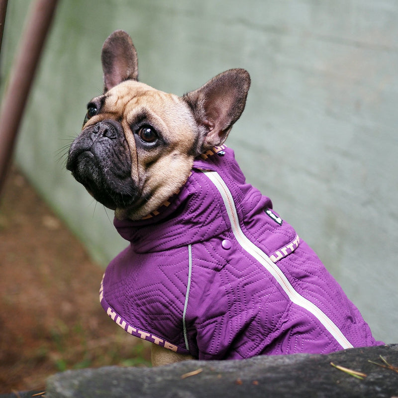 [Australia] - Hurtta Casual Quilted Jacket Dog Coat River 20XL 