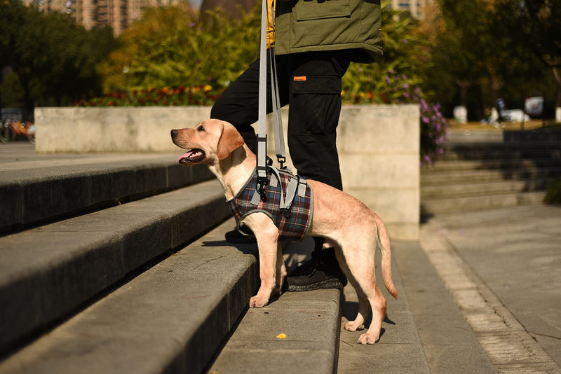 ROZKITCH Dog Lift Harness, Grid Pet Chest Support Aid Veterinarian Approved Sling for Old K9 Help with Poor Stability, Front Legs Disabled Joint Injury Elderly Arthritis ACL Rehabilitation Rehab Small Chest-Blue - PawsPlanet Australia