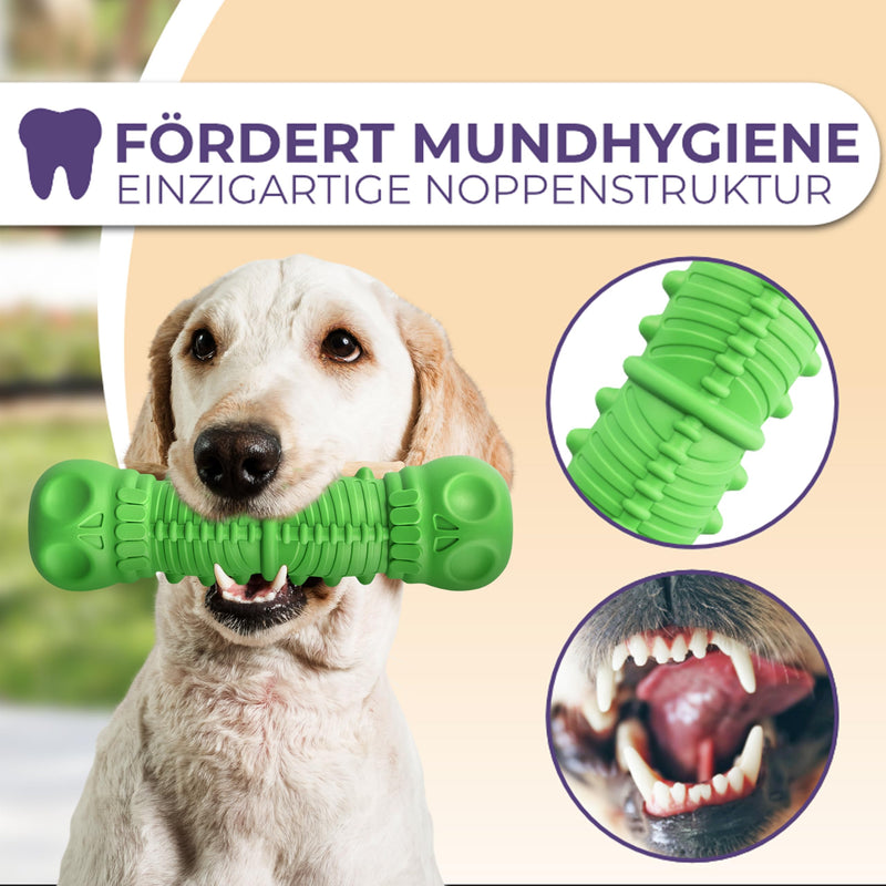 SAMNIS® - dog chew toy - green - particularly robust premium natural rubber - indestructible dog toy with normal chewing - squeaky dog toy for medium & large dogs - PawsPlanet Australia