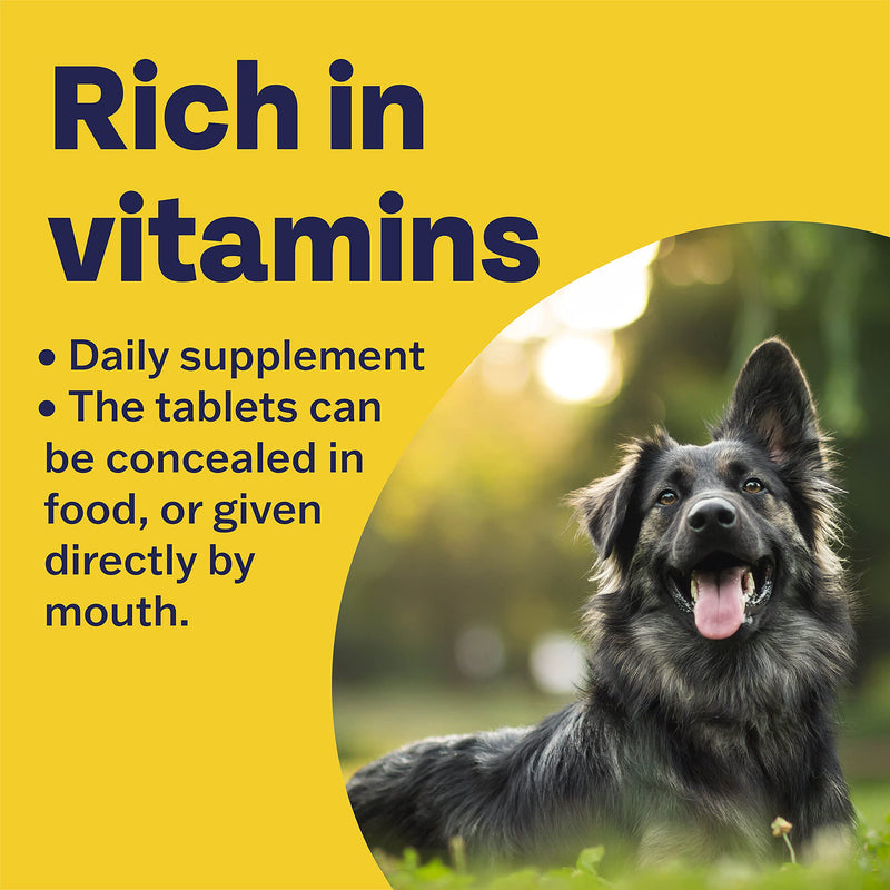 Bob Martin | Delicious Conditioning Tablets for Dogs, Rich in Vitamins | Supports Healthy Immune System | Nutritional Savoury Treat (100 Tablets) - PawsPlanet Australia