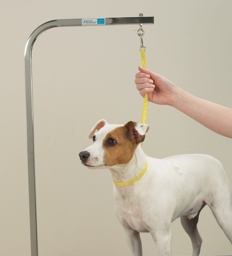 Top Performance Basic Grooming Loops - Versatile Nylon Loops to Secure Dogs on Tabletops While Grooming - 18", 4-Pack - PawsPlanet Australia