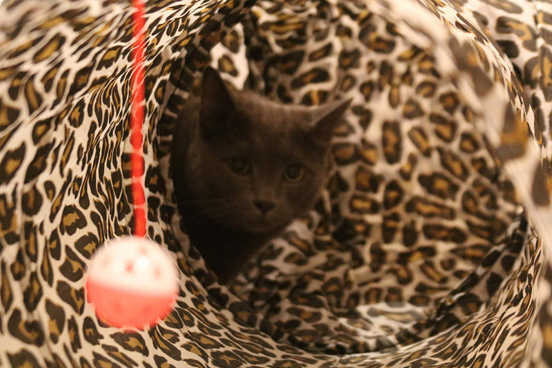 Feline Ruff Premium 3 Way Cat Tunnel. Extra Large 12 Inch Diameter and Extra Long. A Big Collapsible Play Toy. Wide Pet Tunnel Tube for Other Pets Too! Animal Print - PawsPlanet Australia