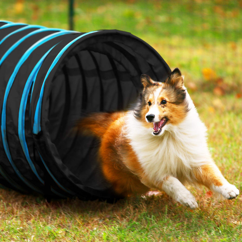 Pet Mania - Dog Agility Training Tunnel with Storage Bag, Pegs & Frisbees - PawsPlanet Australia