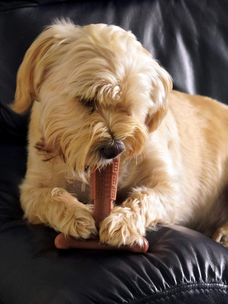 Bamboodles T-Bone Dog Chew for the most even the most aggressive of chewers LARGE CHICKEN - PawsPlanet Australia